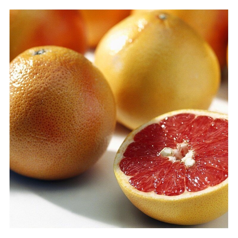 Citrus sanguinelli