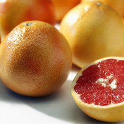 Citrus sinensis 'Sanguinelli'